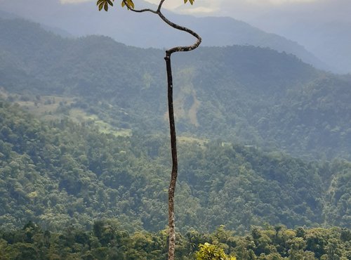 Souvenir du voyage de Sylvie, Costa Rica