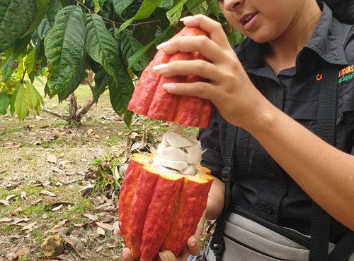 Souvenir du voyage de Guylène, Costa Rica