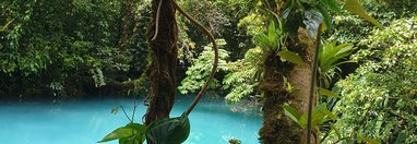 Souvenir du voyage de Guylène, Costa Rica