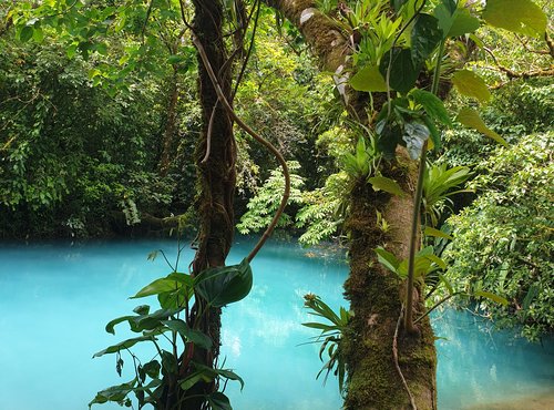 Souvenir du voyage de Guylène, Costa Rica