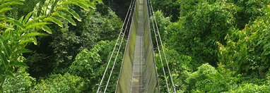 Souvenir du voyage de Guylène, Costa Rica