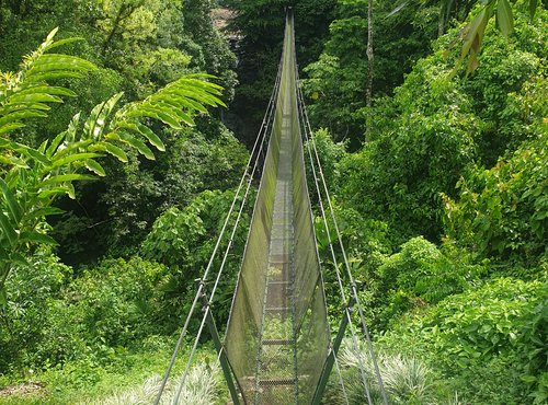 Souvenir du voyage de Guylène, Costa Rica