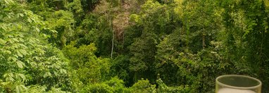 Souvenir du voyage de Guylène, Costa Rica