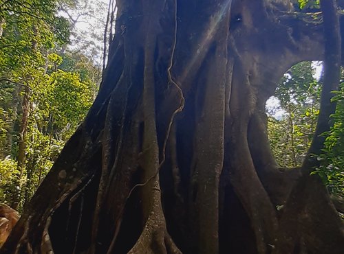 Souvenir du voyage de Sylvie, Costa Rica