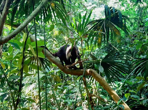 Souvenir du voyage de Sylvie, Costa Rica