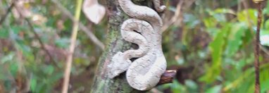 Souvenir du voyage de Sylvie, Costa Rica