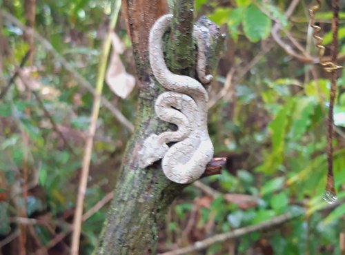 Souvenir du voyage de Sylvie, Costa Rica