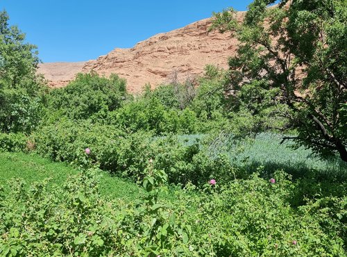 Souvenir du voyage de Valérie, Maroc