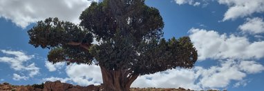 Souvenir du voyage de Valérie, Maroc