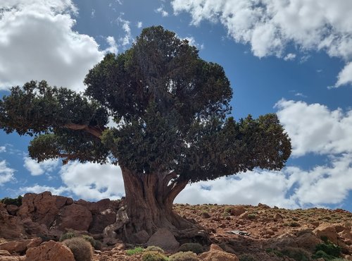 Souvenir du voyage de Valérie, Maroc