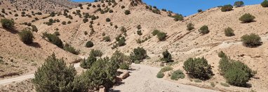 Souvenir du voyage de Valérie, Maroc