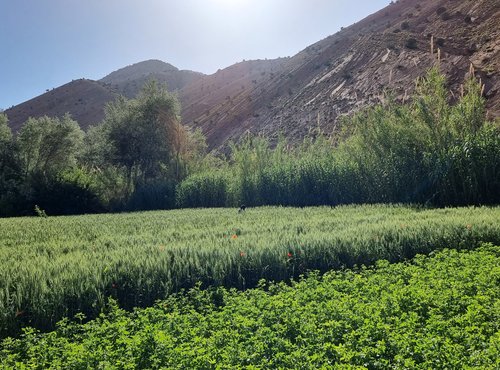 Souvenir du voyage de Valérie, Maroc