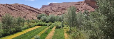 Souvenir du voyage de Valérie, Maroc