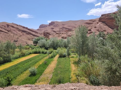 Souvenir du voyage de Valérie, Maroc