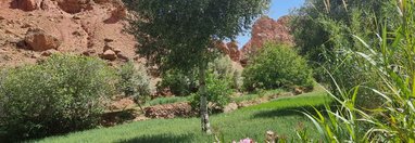 Souvenir du voyage de Valérie, Maroc