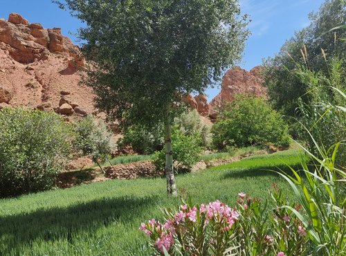 Souvenir du voyage de Valérie, Maroc