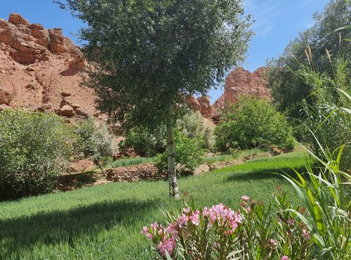 Souvenir du voyage de Valérie, Maroc