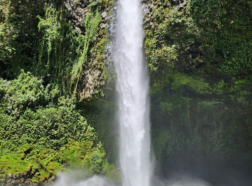 Souvenir du voyage de Emilien, Costa Rica