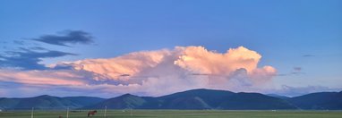 Souvenir du voyage de Nathalie, Mongolie