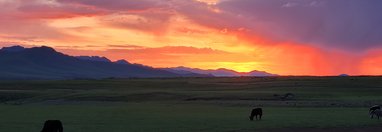 Souvenir du voyage de Nathalie, Mongolie