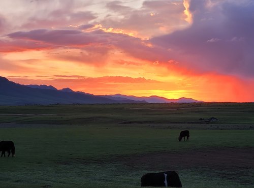 Souvenir du voyage de Nathalie, Mongolie