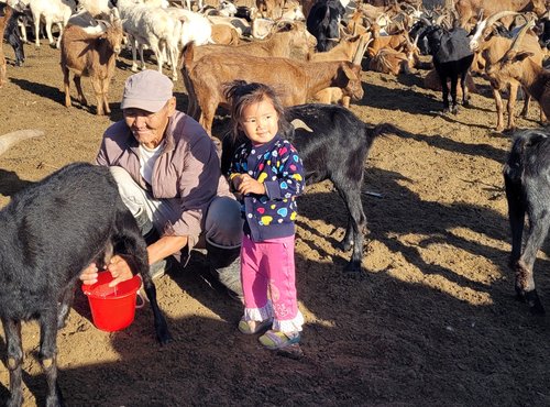 Souvenir du voyage de Nathalie, Mongolie