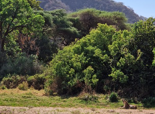 Souvenir du voyage de Linabaye, Tanzanie