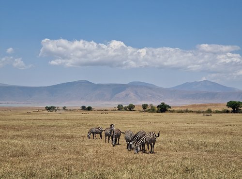 Souvenir du voyage de Linabaye, Tanzanie