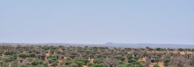 Souvenir du voyage de Linabaye, Tanzanie