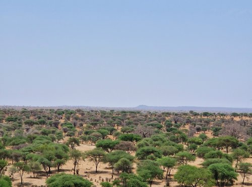 Souvenir du voyage de Linabaye, Tanzanie