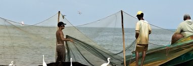 Souvenir du voyage de Marie Joëlle, Sri Lanka