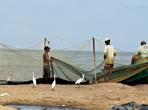 Souvenir du voyage de Marie Joëlle, Sri Lanka