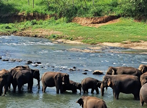 Souvenir du voyage de Marie Joëlle, Sri Lanka