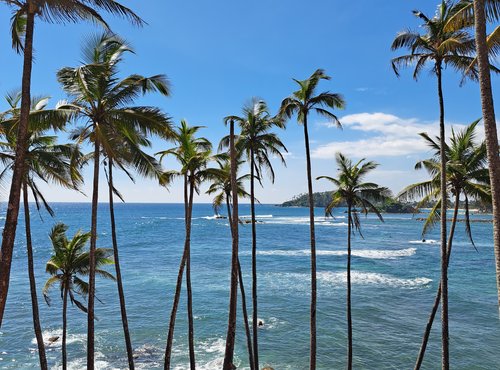 Souvenir du voyage de Marie Joëlle, Sri Lanka