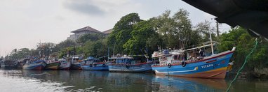 Souvenir du voyage de Nathalie, Sri Lanka