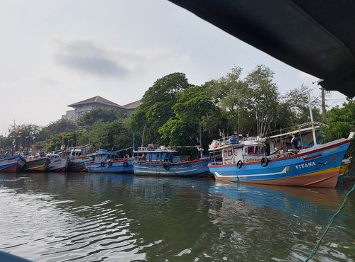 Souvenir du voyage de Nathalie, Sri Lanka