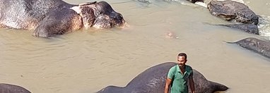 Souvenir du voyage de Nathalie, Sri Lanka