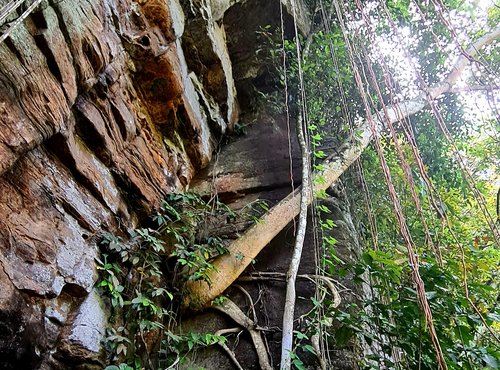 Souvenir du voyage de Marielle, Sri Lanka