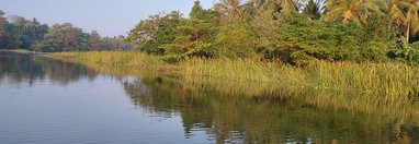 Souvenir du voyage de Nathalie, Sri Lanka