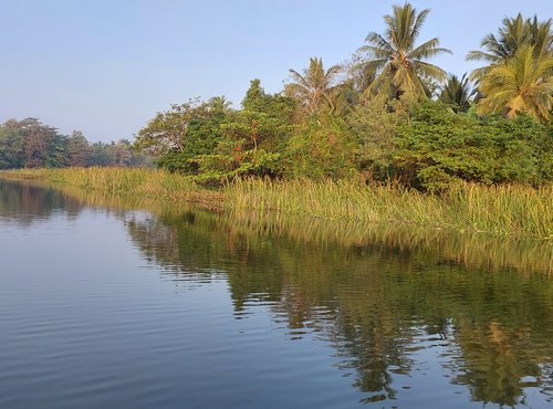 Souvenir du voyage de Nathalie, Sri Lanka