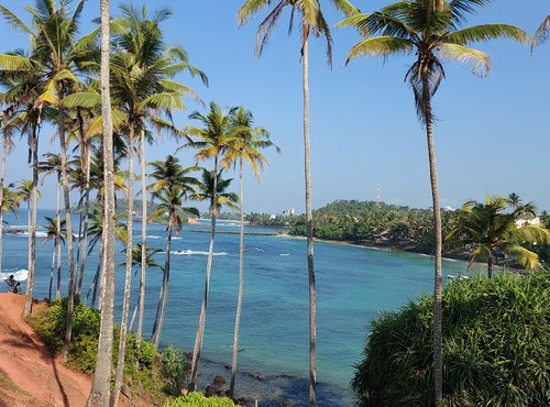 Souvenir du voyage de Nathalie, Sri Lanka