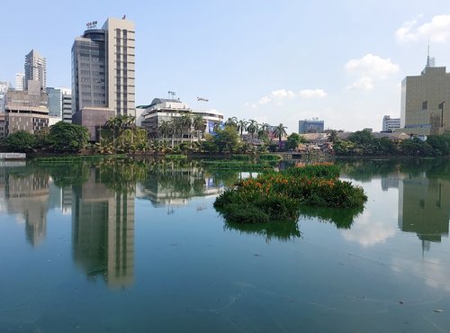 Souvenir du voyage de Nathalie, Sri Lanka