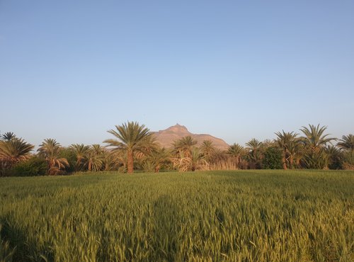 Souvenir du voyage de Eloïse, Maroc