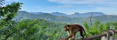 Souvenir du voyage de Gwenaël, Sri Lanka