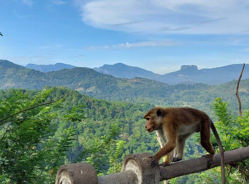 Souvenir du voyage de Gwenaël, Sri Lanka