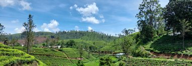 Souvenir du voyage de Gwenaël, Sri Lanka