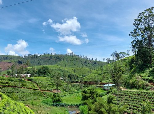 Souvenir du voyage de Gwenaël, Sri Lanka