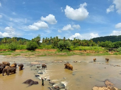 Souvenir du voyage de Gwenaël, Sri Lanka