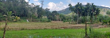 Souvenir du voyage de Gwenaël, Sri Lanka