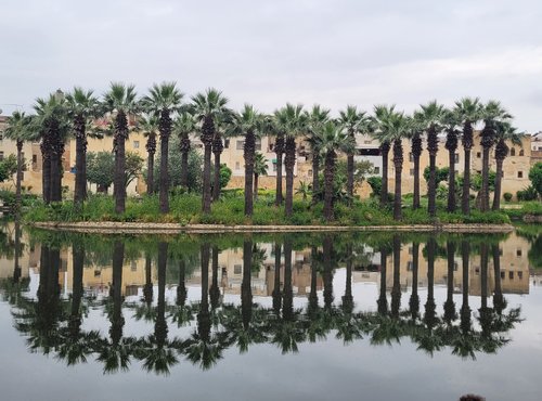 Souvenir du voyage de Sandrine, Maroc